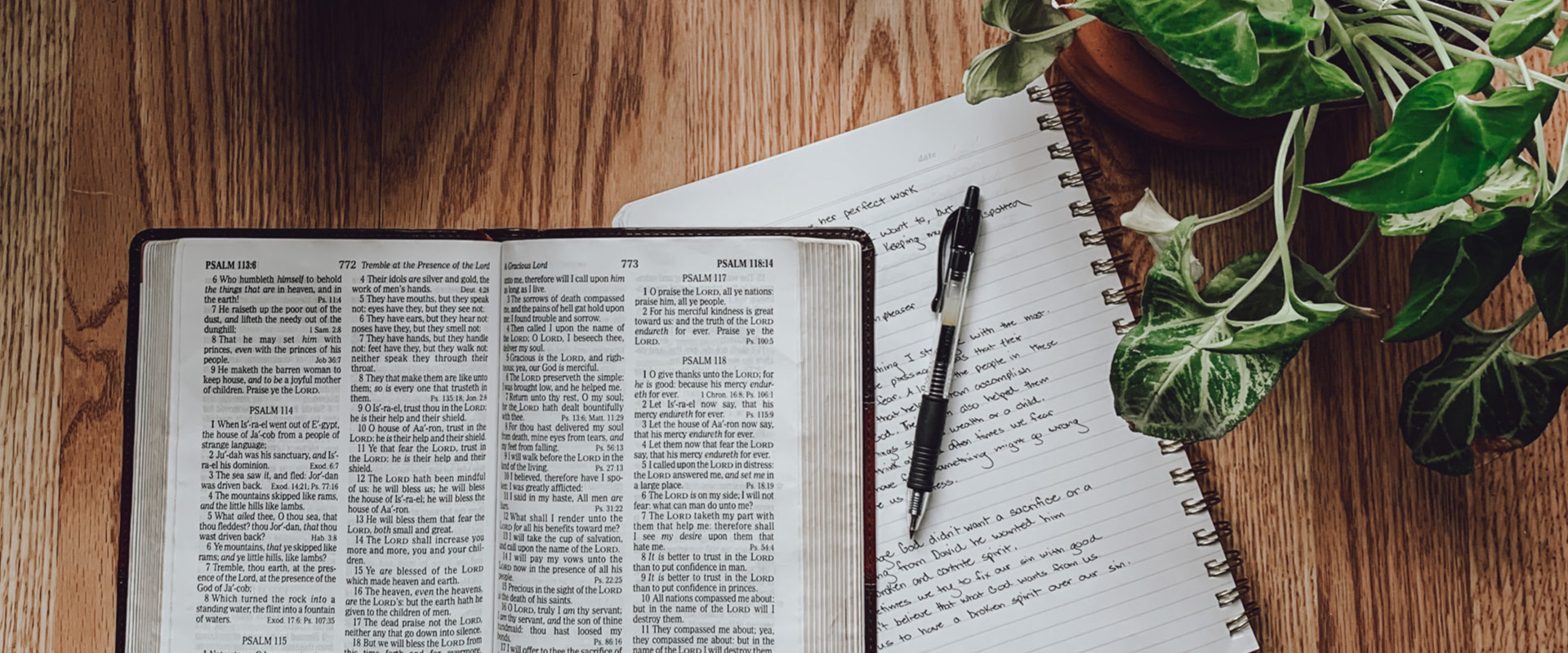 Women of Hope
Tuesdays
&nbsp;9:00&ndash;11:00 a.m. | 7:00&ndash;8:30 p.m.
Oak Brook
